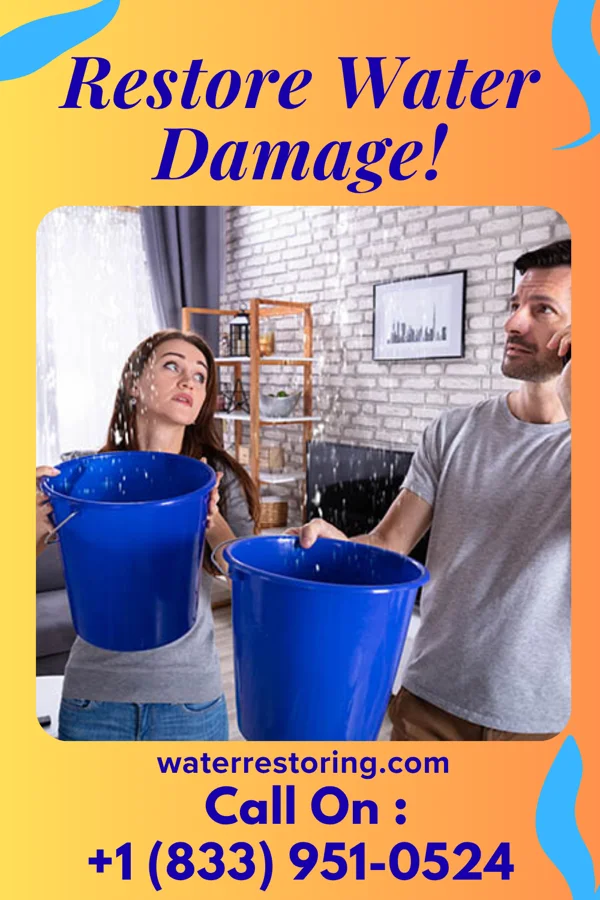 water restoration Prestige Drying Services Raynham