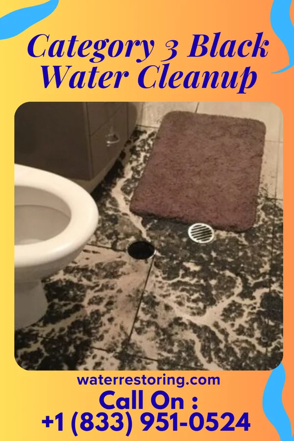 Category 3 Black Water Cleanup in Raynham, NC