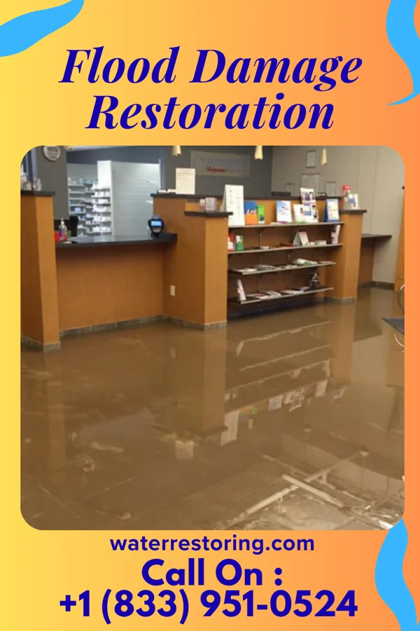 Flood Damage Restoration in Raynham, NC