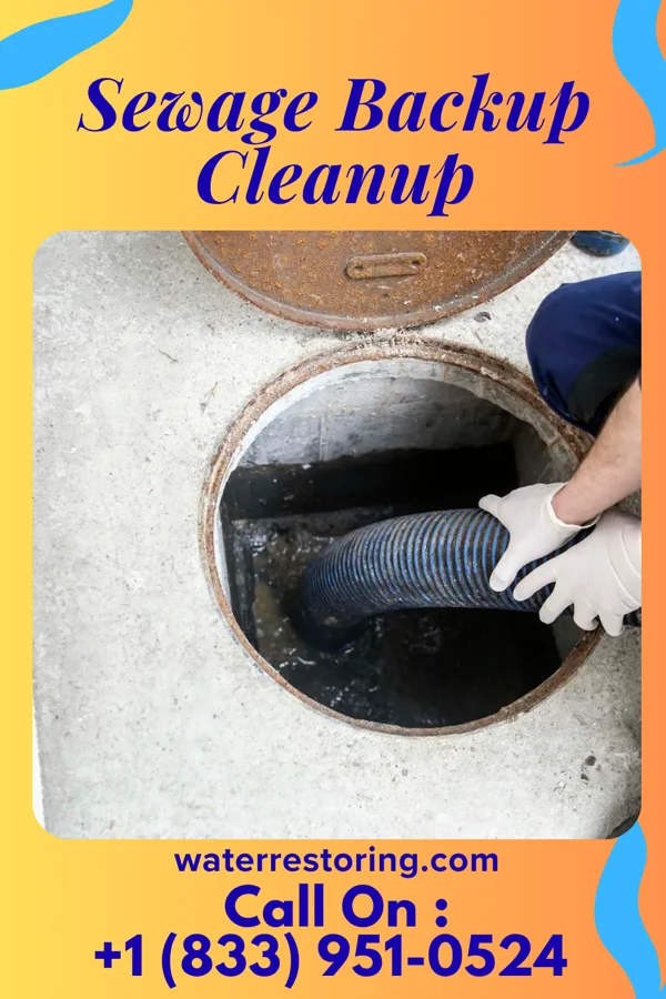 Sewage Backup Cleanup in Raynham, NC