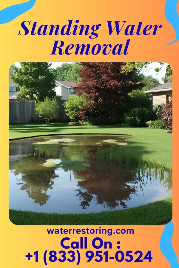 Standing Water Removal in Raynham, NC
